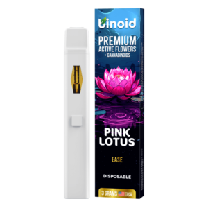 Mushroom Vapes - Premium Delta8 Minds Products